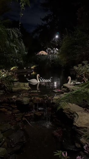 Boost Your Streaks with These Fun Tips