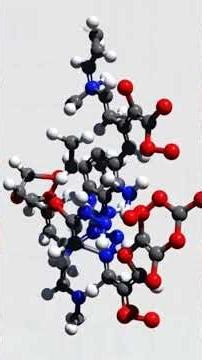 The Untold Truth of Ganoderma: Nature’s Most Powerful Healing Mushroom