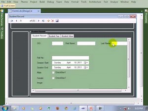 Visual Studio 2010 tutorial Design Data Table in Form