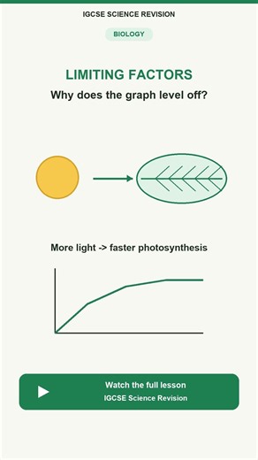 Why does a photosynthesis graph level off?