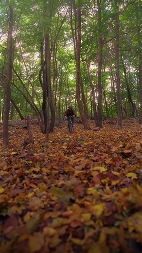 Cmon. It's just a bunch of Hocus Pocus. | The Autumn Soul