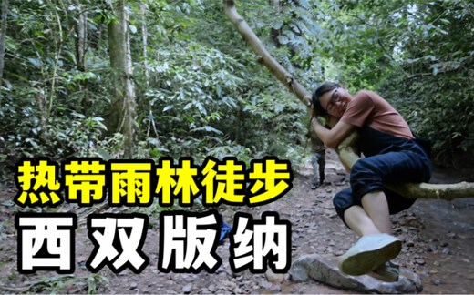 徒步中国唯一一处热带雨林保护区，这才是西双版纳正确的打开方式