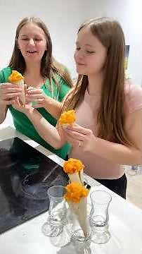 Homemade Orange Ice Cream with a Brand-New Chef’s Secret Recipe! 🍊🍦🔥