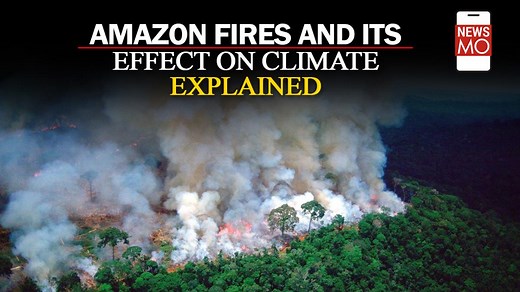 Everything you need to know about the Amazon rainforest fire