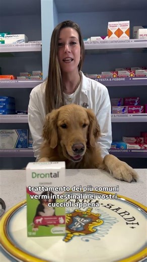 Drontal cucciolo