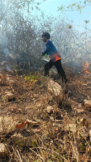 Please do not set fire to the forest🙏 Humanity 🥰 please save trees and animals #shorts #humanity