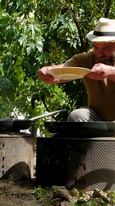 158K views · 4.1K reactions | Pan-Fried Ram Testicles: A Bold Dish with Rich, Savory Flavor #pan #testicles #food #cooking | Kanan Badalov | Facebook