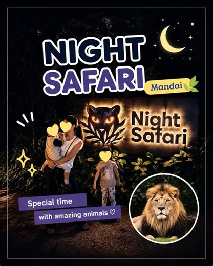 📍Nigh Safari シンガポールのナイトサファリに行ってきた🐘We visited the Night Safari in Singapore