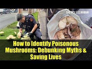 How to Identify Poisonous Mushrooms: Debunking Myths & Saving Lives | Expert Advice