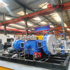 [Hot Item] Oil-Free Vertical Sollant C02 CO2 Gas Carbon Monoxide Compressor OEM High-Purity Oxygen Compressor