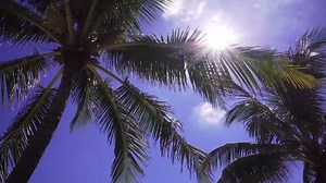 616 reactions · 298 shares | Fun is easy in Jupiter, Florida. Just...