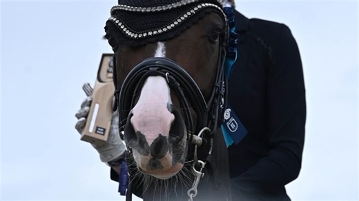 Revivez La Grande Semaine de Dressage 2025, le rendez-vous incontournable des jeunes chevaux et poneys de dressage 🙂🐴🇫🇷 L'occasion de remercier une nouvelle fois nos partenaires qui nous suivent dans cette aventure 🤝 Rendez-vous l'année prochaine ! Cavalor - Champagne Nanet Descôtes - Cheval Liberté - L'Eperon - Deborah Zafrany - Massage équin et canin - Cheval Magazine - Havens - Boehringer Ingelheim - Groupe Brame - Devoucoux - École Militaire d'Équitation - Caval'Urgences - Communauté d'