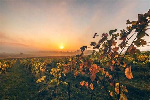 Beyond the Tasting Room: Why Today’s Wine Travelers Want Curated Napa Experiences