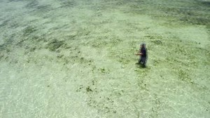 58K views · 169 shares | UK Fans – Are you excited to see what new adventures the newest River Monsters season has in store for you? Here’s something to whet your appetite! #FishOn! | River Monsters Global | Facebook