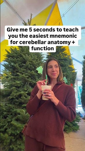 Cerebellum and Cerebellar Function Mnemonic for Physical Therapists #neurology