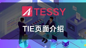 TESSY中的TIE页面介绍