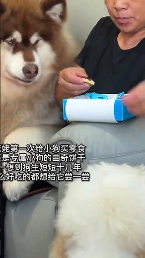 Grandma Treats Her Chinese Village Dog Like a Baby — The Way She Holds Him Will Melt Your Heart Inst