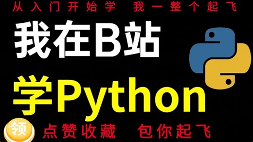 3小时超快速入门Python | 动画教学【2025新版】【自学Python教程】【零基础Python】【计算机二级Python】【Python期末速成】