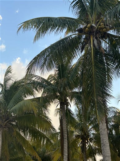 Fans React to Men Showing Camera Rolls