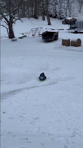 It’s trash day #trash #trashcan #snow #snowday #sledders #sleddingfun #sledding