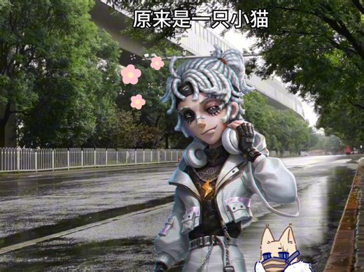 捡到一只隐士猫（1）