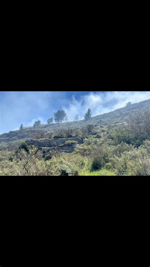 Here is a true example of bush encroachment in our area. We had another successful control burn yesterday. We cannot wait to share the results after the burn. #control #burning #easterncape #experience #veld #management | Braeside Safaris | Facebook