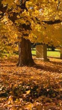 Fall at Spring Grove #cincinnati #cincy #springgrove #cemetery #fall