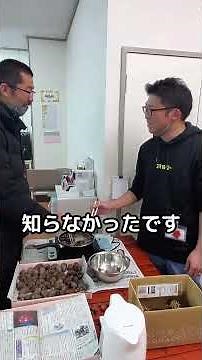 【面白い動画】松ぼっくりを煮沸消毒！何に使う？🤔 知らない人も多い使い方！[土浦] #面白いショーツ