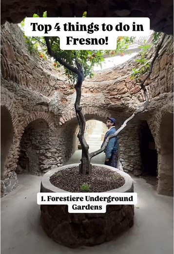 Top 4 Must-Do Activities in Fresno