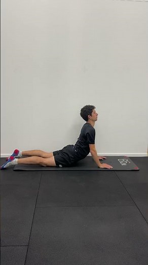 Cobra Stretch / Lumbar Extension