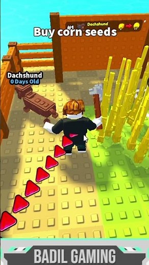 KITA PUNYA HEWAN PELIHARAAN | ROBLOX