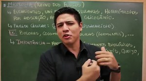 Fungos e o Reino Fungi: características, exemplos e importância