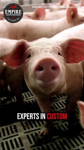 🥩 USDA Inspected Beef & Pork Processing