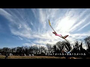 U100ラジコングライダー［MuchoMint］