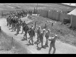 WW2's Strangest Irony: German POWs Captured by German-Americans