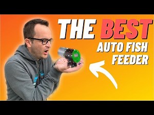 Top Five Best Automatic Fish Food Feeders For Saltwater & Freshwater Aquariums 2021- Feeding Rings