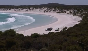 Surfer mauled to death by shark in front of girlfriend & horrified tourists