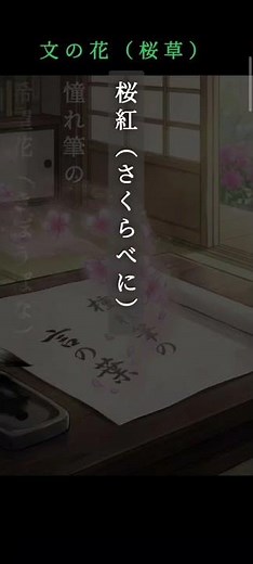 文の花（桜草）#俳句