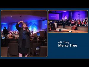 ASL Song - Mercy Tree