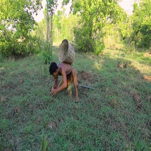 Dig the hole to catch the Frogs in the middle of the Forest | Living In Jungle