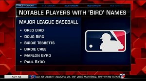 10K views · 101 reactions | Greg and Dan Plesac do a little bird watching on National Bird Day... and spot Paul Byrd!  | MLB Network | Facebook
