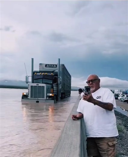 Bull Haulers Making Extra Effort: Cattle Hauler Scenes