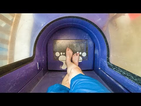 Kalahari Resort Wisconsin Dells - Screaming Hyena | Trapdoor Drop Slide Onride POV