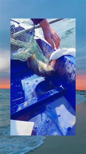 11K views · 97 reactions |  | Azula | Facebook