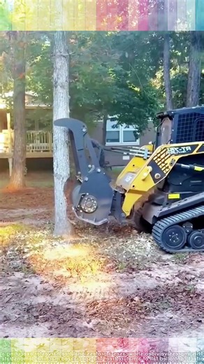 Why Professional Loggers Use This Insane Machine 🪓✨
