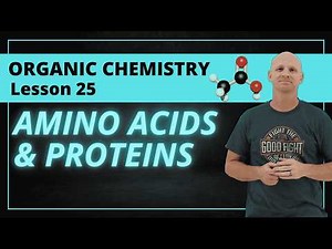 Amino Acids & Proteins | Organic Chemistry 25