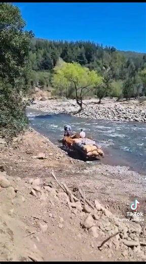 "ESTE ES MI CHILE RURAL" Un Chile lleno de mi gente linda que con sacrificio y orgullo sacan adelante a sus familias y mantienen vivas la raíces del campo Chileno. #puratradicion #YoSoyDelCampo | Soy del Campo Chile