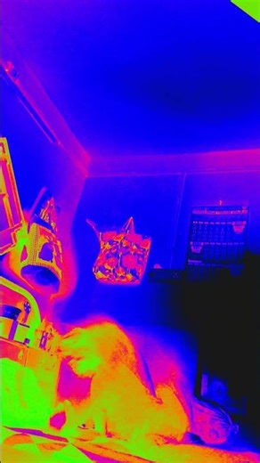 #memes #trapmusicremix #funny 😉🫠😉