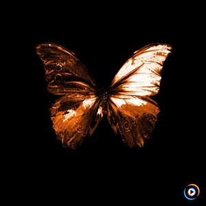 Corridors (Live) by Blacklit Canopy Official