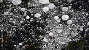Frozen air bubbles in natural ice of pond / lake in winter